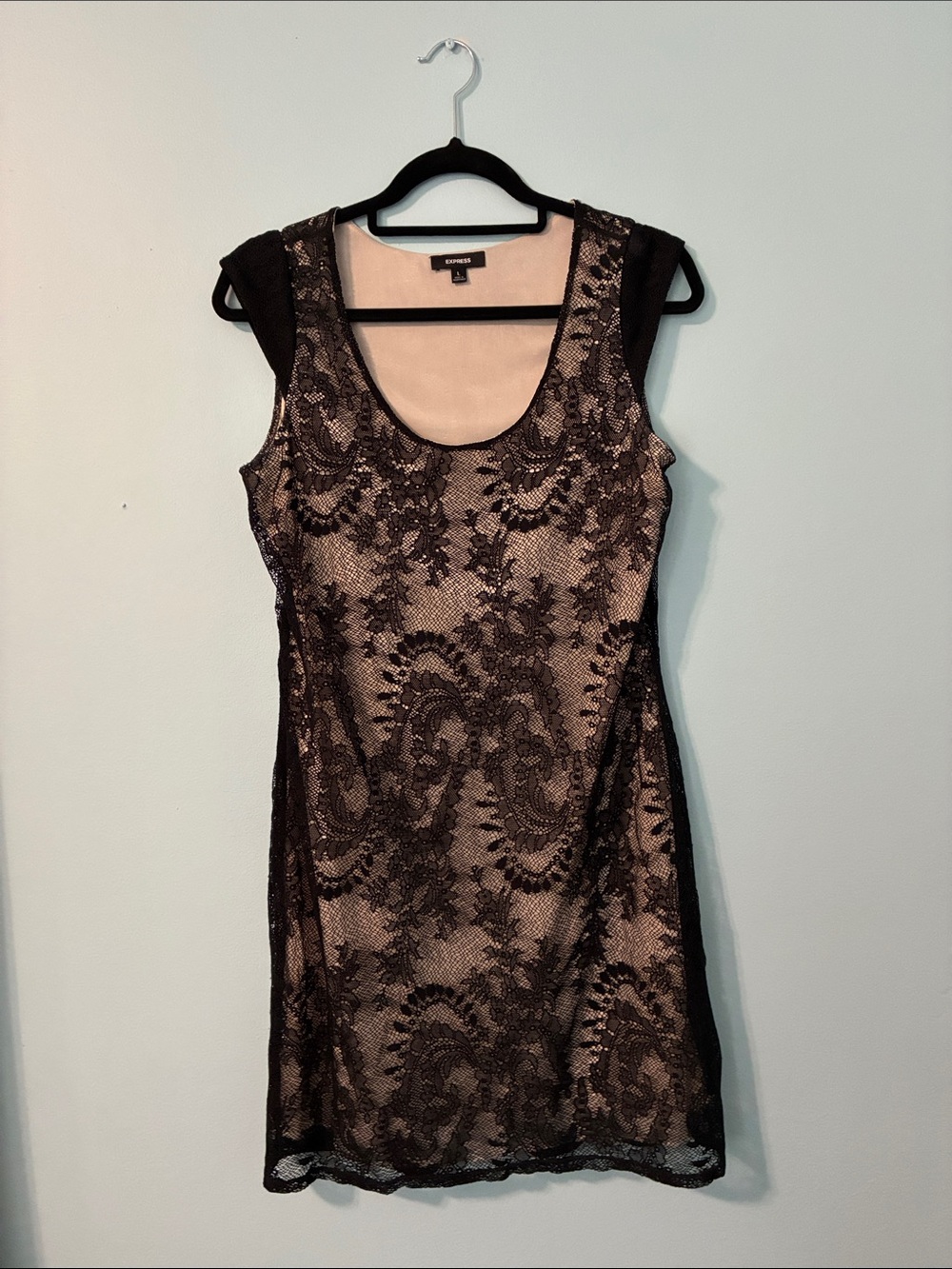 Express Black Lace Dress with Blush Lining